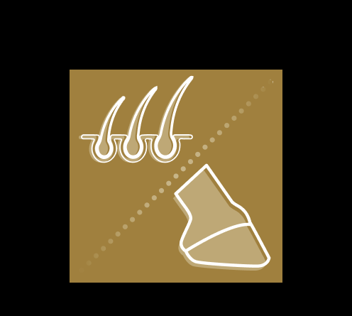 Uebersichtsseite Icon Fell Hufe